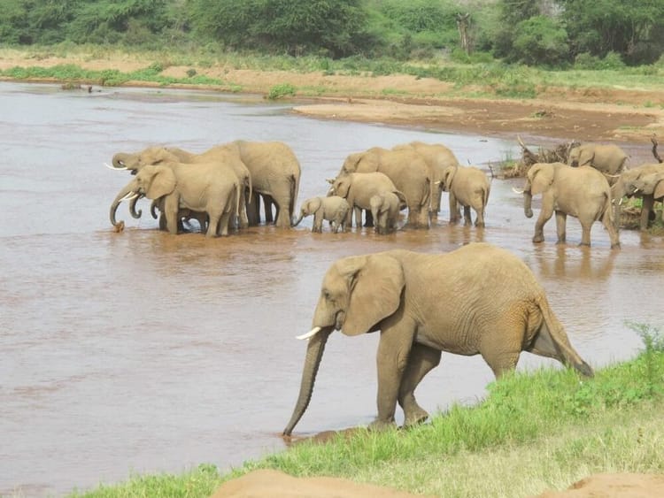 Watering‑Hole Campaign Plants ScanBox Keylogger on Target Sites